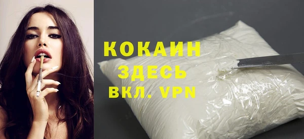 крисы Новокубанск