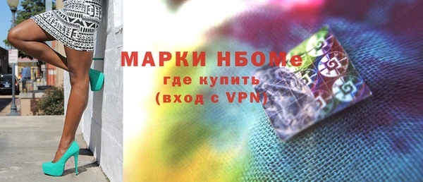 гашик Новозыбков