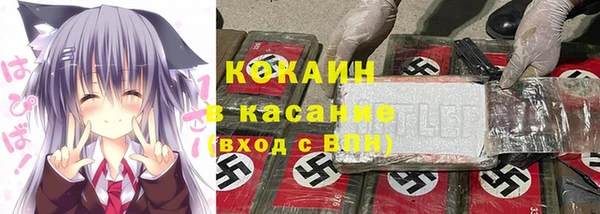 крисы Новокубанск