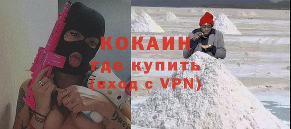 гашик Новозыбков