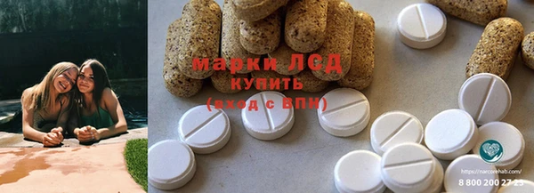крисы Новокубанск
