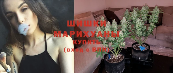 крисы Новокубанск